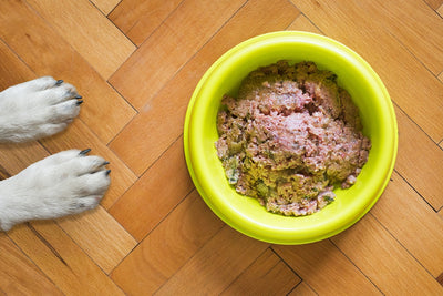 What Wet Dog Food Do Vets Recommend?