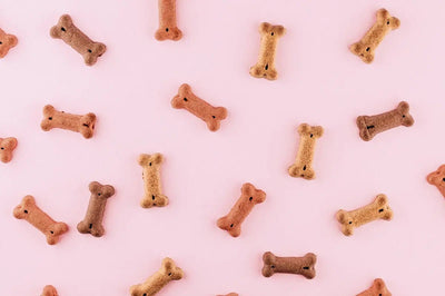 Dog Food and Treats A Complete Guide to Optimal Nutrition for Your Pet - Talis Us