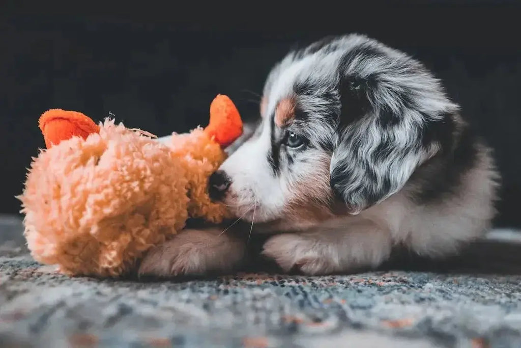 Durable Stuffed Dog Toys That Can Handle Playtime Fun - Talis Us