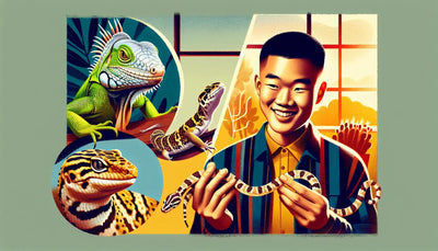 Easiest Reptiles to Take Care Of: A Beginner's Guide - Talis Us