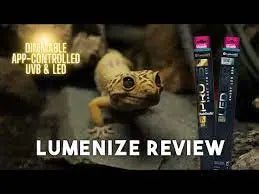 Enhancing Reptile Health with Arcadia Reptile Lumenize - Talis Us