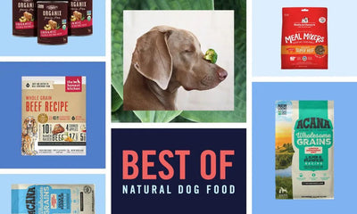 The 10 Best Dog Foods by Talis-us