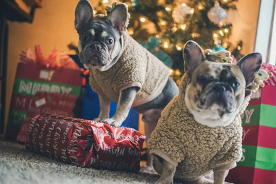 Festive Christmas Kerchiefs to Dress Up Dogs - Talis Us