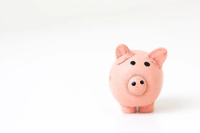 Find Discount Pet Products: Save Big on Essentials - Talis Us