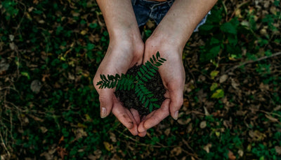 Five Innovative Solutions for Everyday Sustainable Living - Talis Us