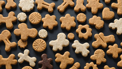 Get the Best Deals on Natural Pet Treats for Your Pets - Talis Us