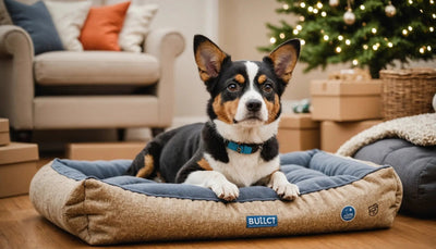 Get Your Pet Supplies Online and Save on Every Purchase - Talis Us