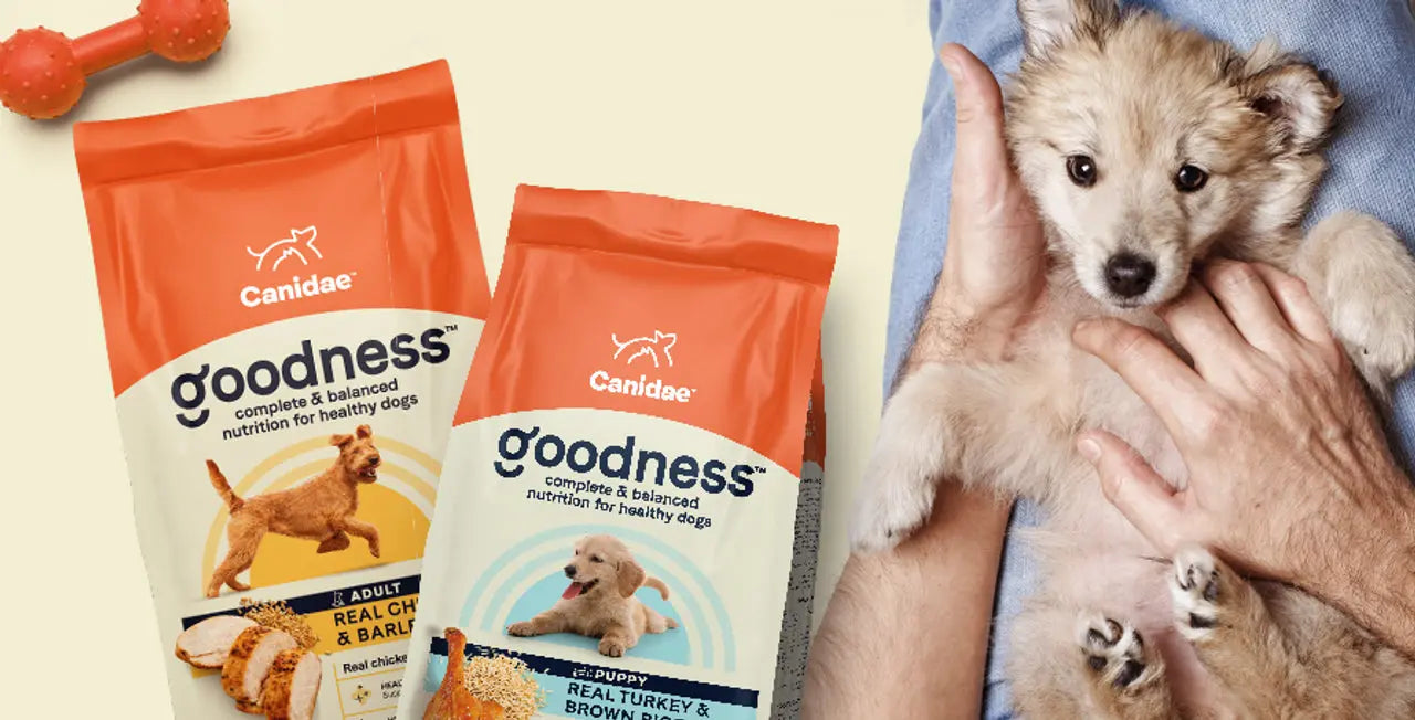 Is Canidae Dog Food on Recall List?