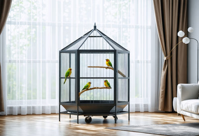 Spacious hexagon aviary cage with colorful birds, offering a safe and enriching home for your feathered friends