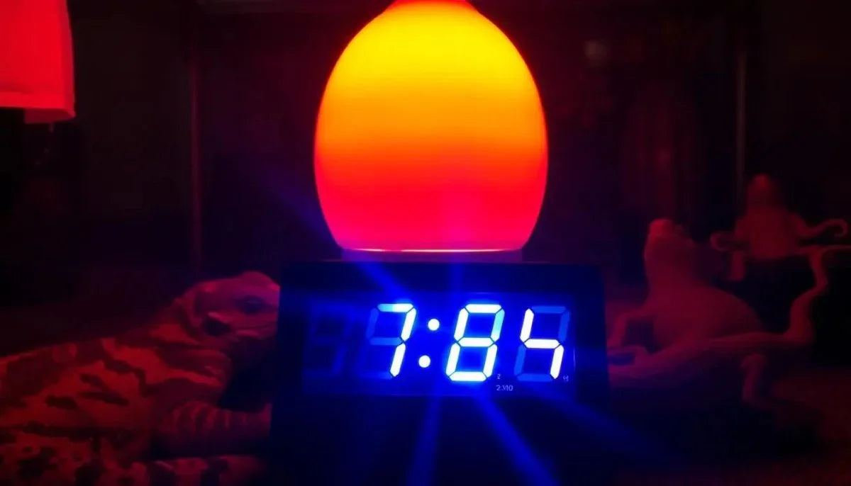 How Long Do Ceramic Heat Emitters Last? - Talis Us