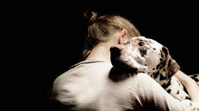 How Pets Affect our Mental Health