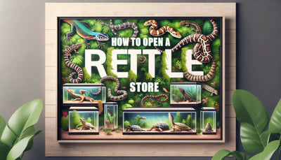 how to open a reptile store - Talis Us