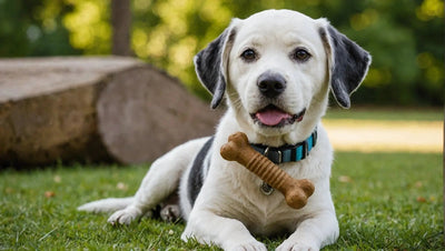 Hypoallergenic Dog Chews for Sensitive Pets - Talis Us