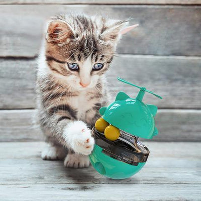 Do cats like interactive toys?