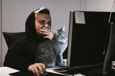 Is shopping on Talis Us more affordable than Petflow - Talis Us