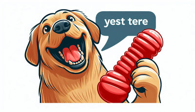 Keep Your Dog Entertained and Engaged with the Kong Dental Stick Dog Toys Red Large - Talis Us
