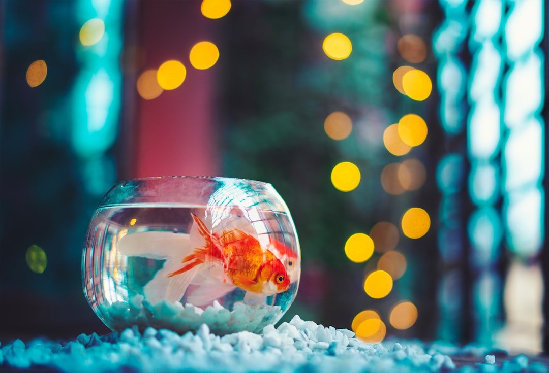 LED Lights for Optimal Aquarium Plant Growth - Talis Us