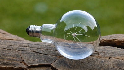 Mercury Vapour Bulb for Tortoise Care - Talis Us