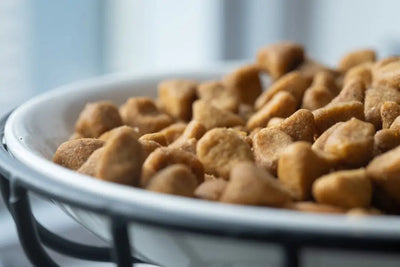 Natural Balance Pet Food: A Healthy Choice for Your Pet - Talis Us