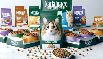 Natural Balance: The Best Food for Your Pets - Talis Us