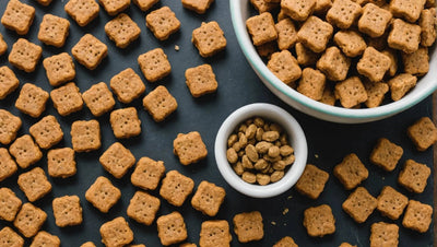 Organic Dog Food Treats - Talis Us