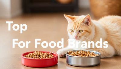 Top-rated pet food brands for cats
