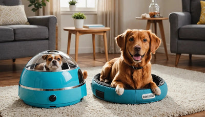 Pet Accessories Extravaganza: Must-Have Items for Your Pet - Talis Us