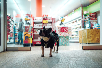 Top Pet Supply Stores in Portland