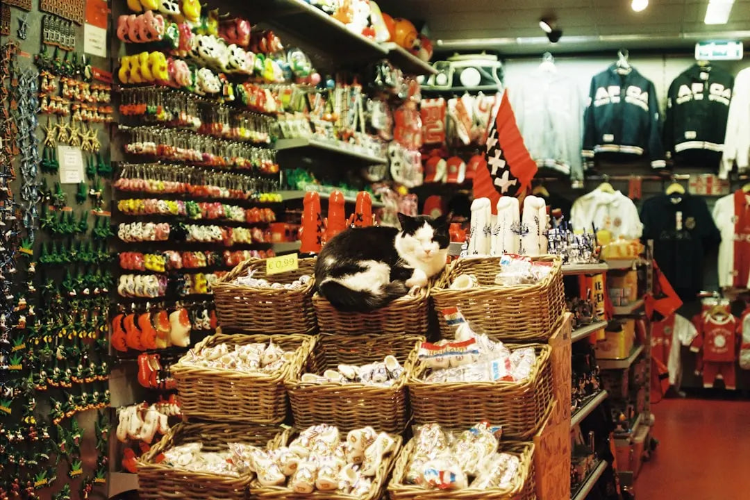 Best-Online-Stores-for-High-Quality-Pet-Food-2024-Guide Talis Us