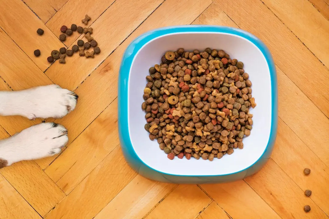 Raw Dynamic Dog Food: A Natural and Nutritious Choice for Your Dog