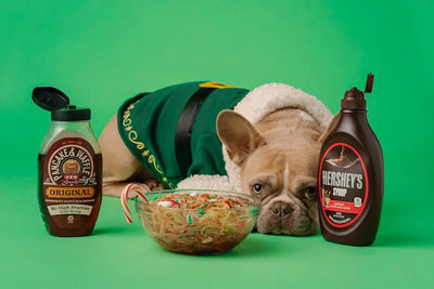 Nourishing-Your-Pup-Homemade-Raw-Dog-Recipes Talis Us