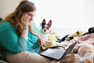Essential Tips for Buying Pets Online