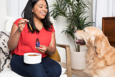 What are the best online retailers for healthy dog treats near me