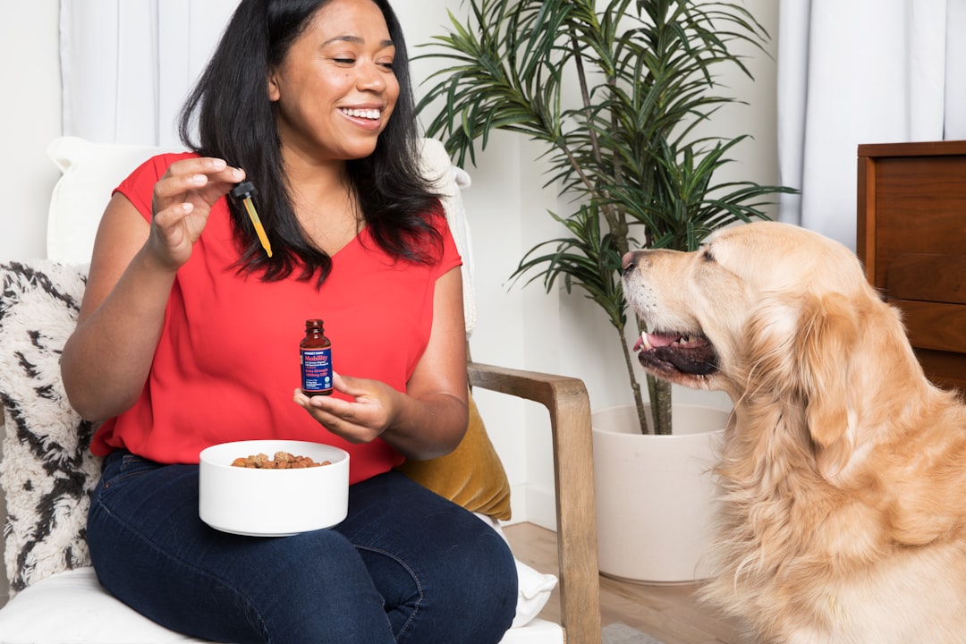 What are the best online retailers for healthy dog treats near me