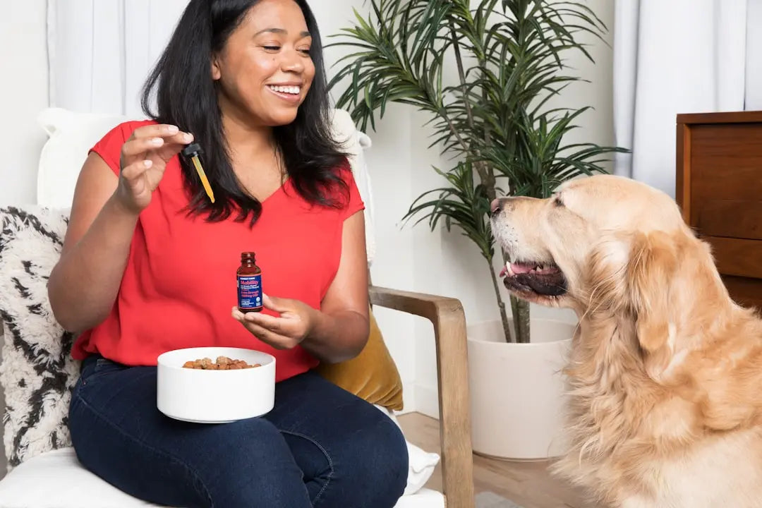 What-are-the-best-online-retailers-for-healthy-dog-treats-near-me Talis Us