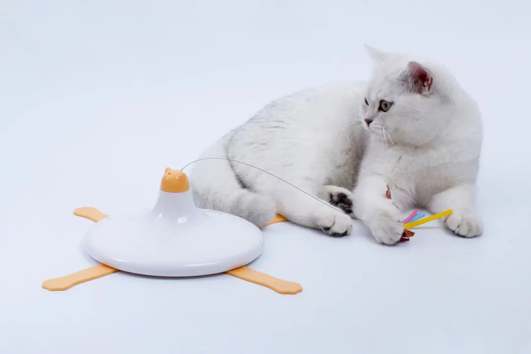 Delicious-Cat-Treats-Designed-for-Optimal-Feline-Nutrition Talis Us