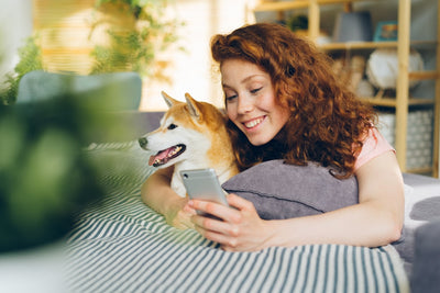 Best online pet stores customer service reviews