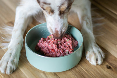 Are freeze-dried beef liver and salmon good for my dog's health?