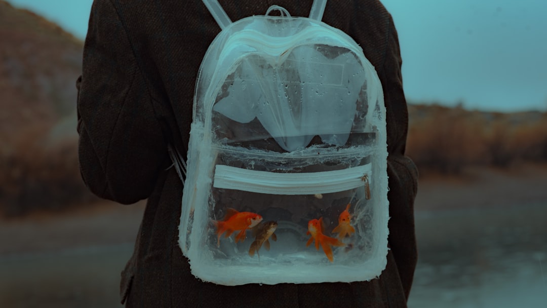 Why the Katziela Airline Approved Wheeled Pet Carrier is Your Go-To for Stress-Free Pet Travel