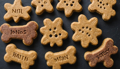 Premium Natural Dog Treats for Your Furry Companion - Talis Us