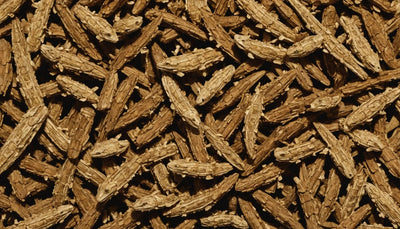 Premium ReptiBark - Talis Us