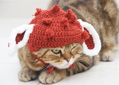 Simplify Your Life: How a One-Stop Pet Shop Transforms Your Pet Supplies Routine - Talis Us