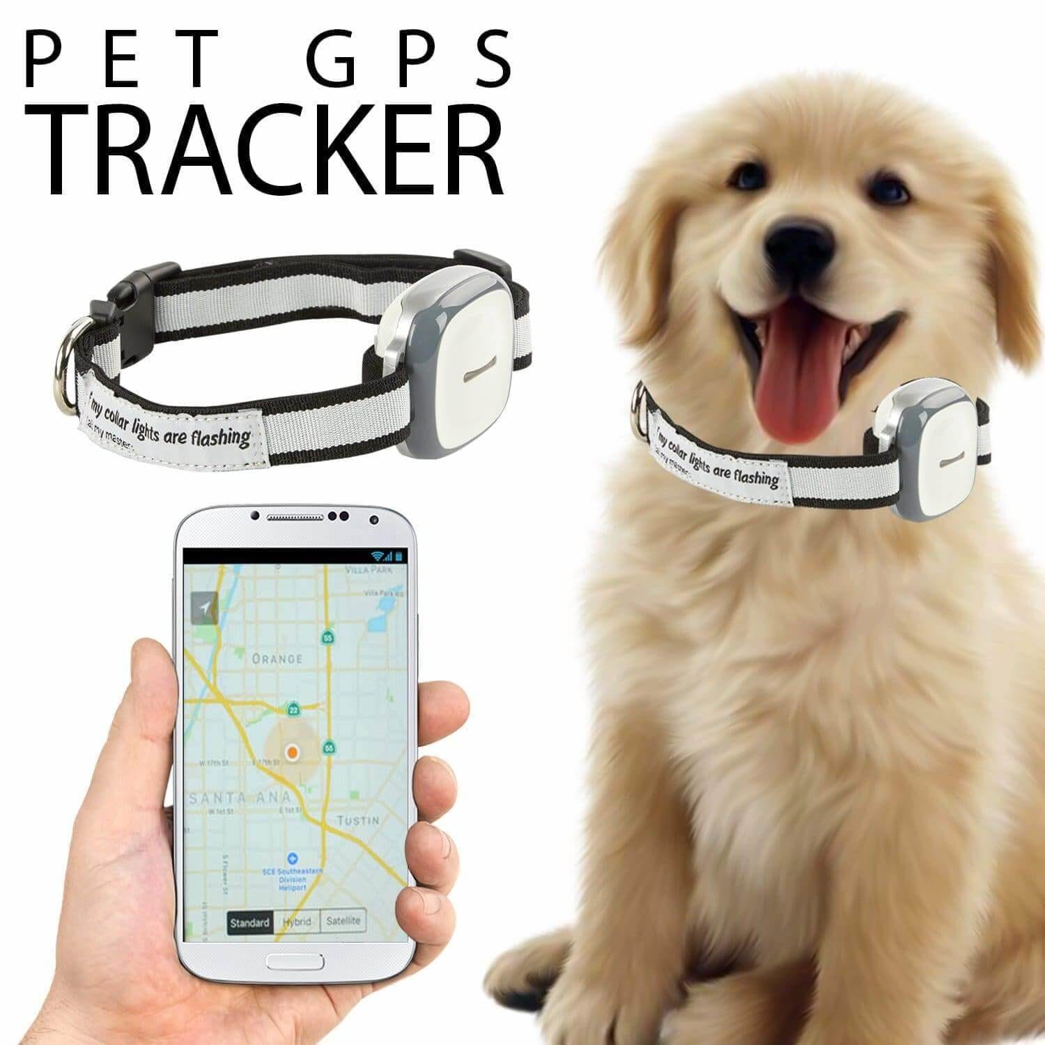 Talis-us Pet GPS Tracker Featured in Pet Life Today’s “Best GPS Cat Trackers & Collars”