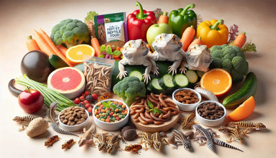 The Best Reptile Food Options for Healthy and Happy Pets - Talis Us