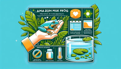 The Ultimate Amazon Milk Frog Care Checklist - Talis Us