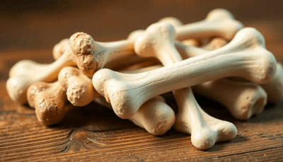 The Ultimate Guide to Choosing the Best Bones for Dogs - Talis Us