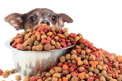 Is there a recall on dog food 2022?