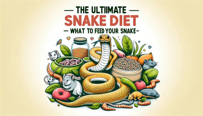 The Ultimate Snake Diet Guide: What to Feed Your Pet Snake - Talis Us