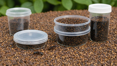 Ant Colony Starter Kit: Everything You Need to Start Your Own Ant Colony