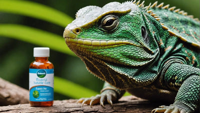 Take Care of Your Reptile's Health with These Essential Care Products